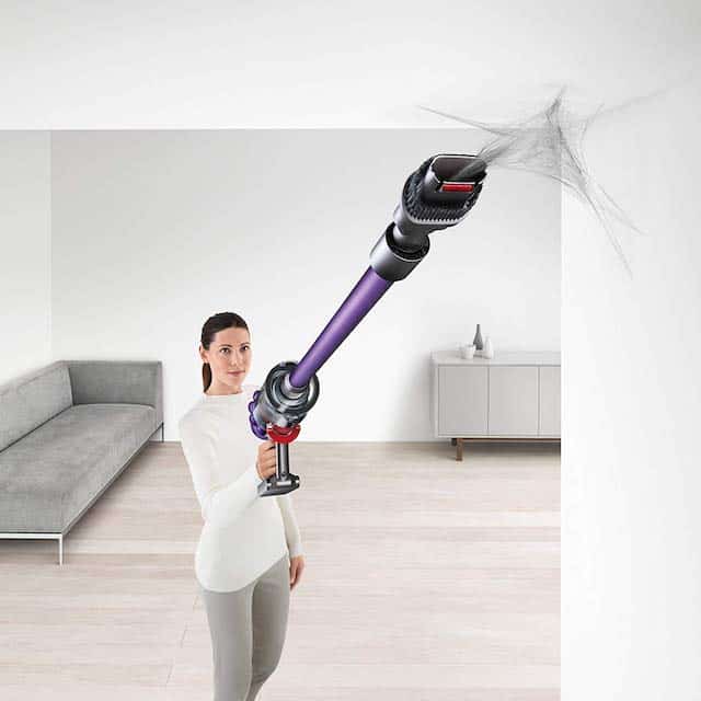Dyson V10 Animal Extension