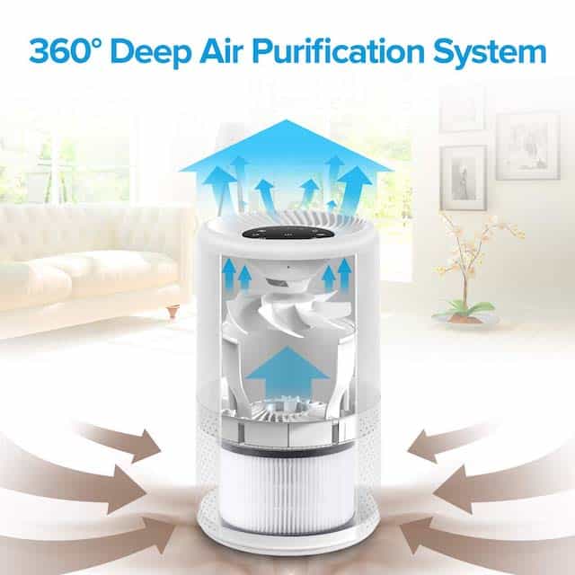Levoit Vista 200 vs Core 300 HEPA Purifier Review Bruceskys Best