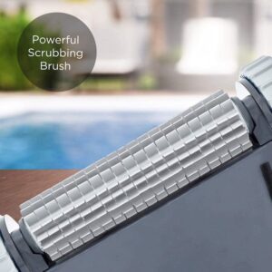 Dolphin Escape Scrubbing Brush